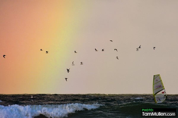 Finn Windsurfing through rainbow